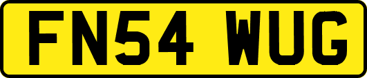 FN54WUG