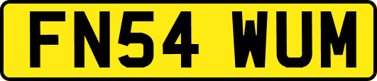 FN54WUM