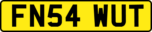 FN54WUT