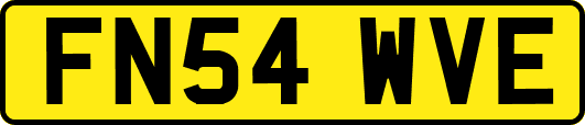 FN54WVE