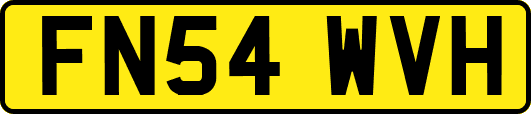 FN54WVH