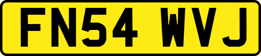FN54WVJ