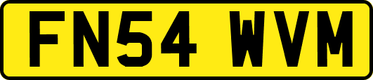 FN54WVM