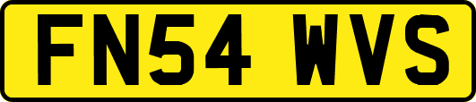FN54WVS