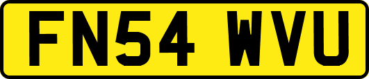 FN54WVU