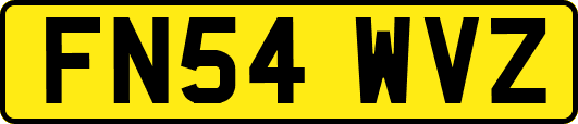 FN54WVZ