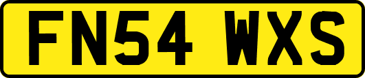 FN54WXS