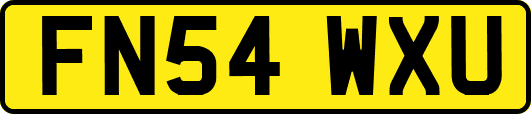 FN54WXU