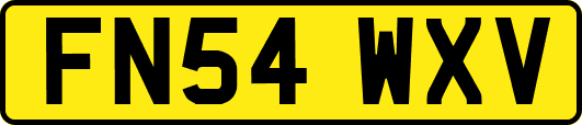 FN54WXV