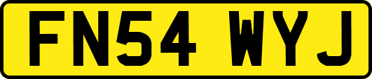 FN54WYJ