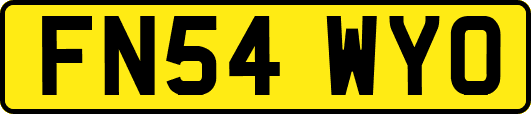 FN54WYO