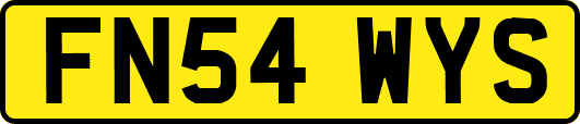 FN54WYS