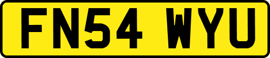 FN54WYU