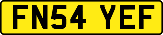 FN54YEF