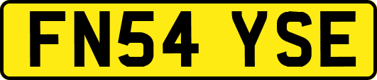 FN54YSE