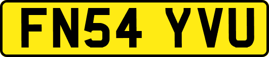 FN54YVU