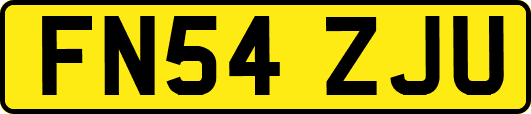 FN54ZJU