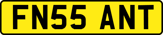 FN55ANT