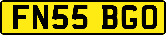FN55BGO