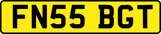 FN55BGT
