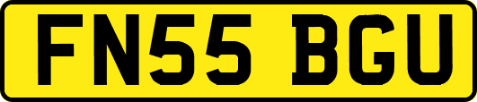 FN55BGU