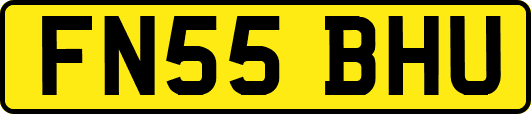 FN55BHU