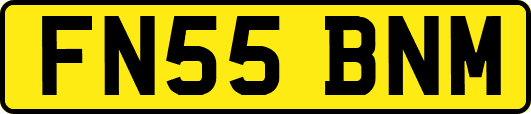 FN55BNM