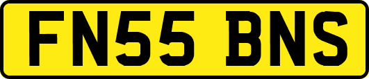 FN55BNS