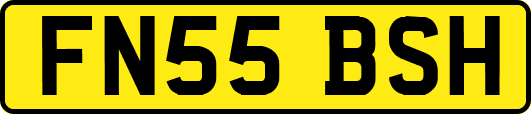 FN55BSH