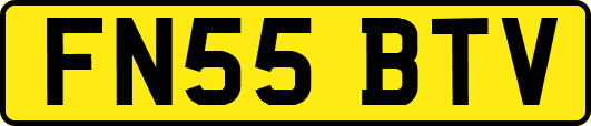 FN55BTV