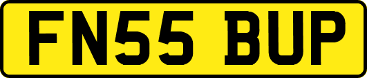 FN55BUP