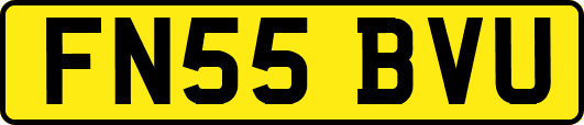 FN55BVU
