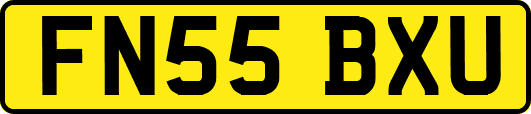 FN55BXU