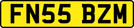 FN55BZM