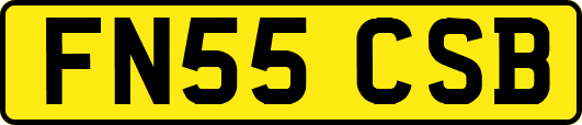 FN55CSB