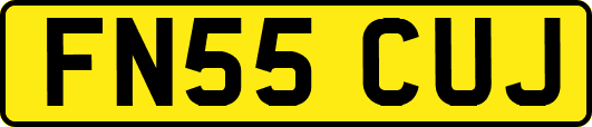 FN55CUJ