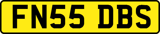 FN55DBS