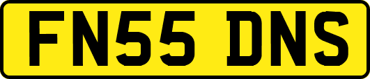 FN55DNS