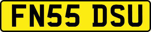 FN55DSU