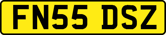 FN55DSZ