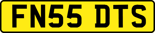 FN55DTS