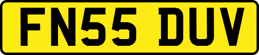 FN55DUV