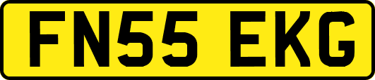 FN55EKG