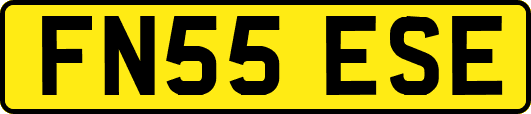 FN55ESE