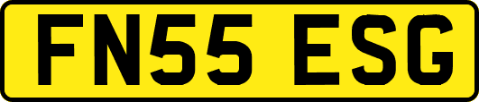FN55ESG