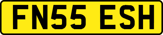 FN55ESH