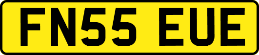 FN55EUE