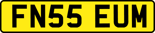 FN55EUM