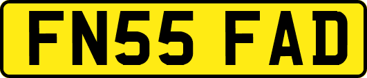FN55FAD