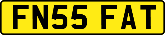 FN55FAT